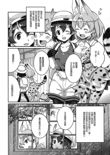 (C92) [Tendoushi (Fukuroumori)] Daisuki ni Kimatteru!! (Kemono Friends) [Chinese] [沒有漢化] - page 3