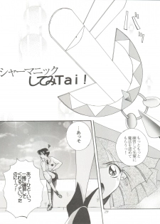 (C51) [F.A (Honoutsukai)] Habat coy 14 (Mahou Tsukai Tai, Shamanic Princess, Neon Genesis Evangelion) - page 29