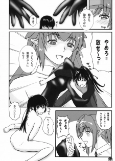 (C74) [Natakuga-yuku! (Xanadu)] Platonic Deculture (Macross Frontier) - page 11