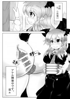 [Daishizen Juukou (Ashita)] Kyokina ana no Koakuma-san (Touhou Project) [Digital] - page 3