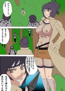 (C68) [Naruho-dou (Naruhodo)] Mitarashi Anko Hon (Naruto) [Colorized] [Incomplete] - page 3