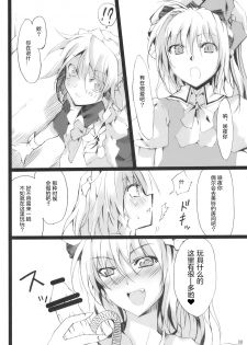 (Aka no Hiroba 3) [KOTI (A Toshi)] PARANOIA (Touhou Project) [Chinese]   [Flandre个人汉化] - page 7