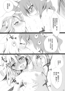 (Aka no Hiroba 3) [KOTI (A Toshi)] PARANOIA (Touhou Project) [Chinese]   [Flandre个人汉化] - page 23