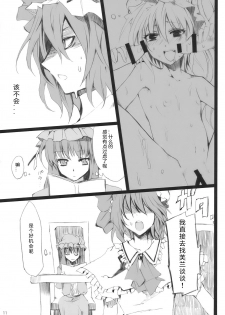 (Aka no Hiroba 3) [KOTI (A Toshi)] PARANOIA (Touhou Project) [Chinese]   [Flandre个人汉化] - page 10