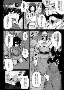 (C88) [Darabuchidou (Darabuchi)] ABYSS (Dragon Quest III) [Chinese] [无毒汉化组] - page 7