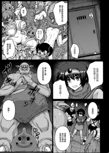 (C88) [Darabuchidou (Darabuchi)] ABYSS (Dragon Quest III) [Chinese] [无毒汉化组] - page 8