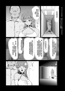 [Triple Head] Onna Sousakan, Ryoujyoku Akuochi 2. Ochinpo niwa Kate nakatta yo... (Kouhen) [Chinese] [村长代发不愿意透露姓名的人汉化] - page 21