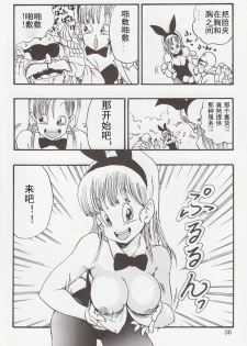 (C83) [Monkees (YoungJiJii)] Dragon Ball EB 1 - Episode of Bulma (Dragon Ball) [Chinese] [12356個人漢化] [Incomplete] - page 6