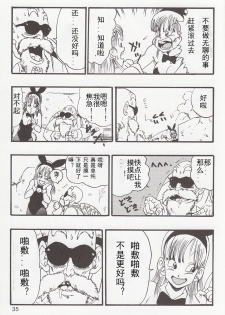 (C83) [Monkees (YoungJiJii)] Dragon Ball EB 1 - Episode of Bulma (Dragon Ball) [Chinese] [12356個人漢化] [Incomplete] - page 5