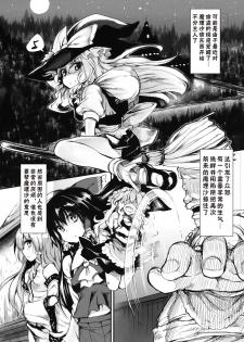 (C81) [Marked-two (Maa-kun)] Marisa wa Taihen na Choukyou o Ukete Shimaimashita (Touhou Project) [Chinese] [好想玩梗汉化组] - page 4