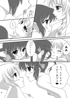 [Ichigo Milk (CHERRY)] Strawberry Milk Vol. 5 (Mahou Shoujo Lyrical Nanoha) [Digital] - page 29