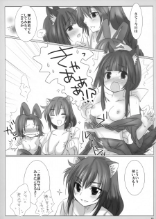 (C83) [Nac. (Tf)] Fuugetsuan no Are ya Sore (DOG DAYS) - page 14