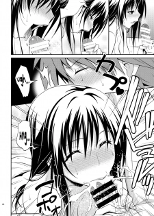 (C88) [Hibi Rakuraku (Aoki Kanji)] Watashi Renchi Yabutte Suteru. (To LOVE-Ru) [English] {Hennojin} - page 24