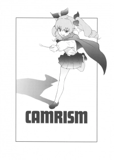 (COMIC1☆13) [Camrism (Kito Sakeru)] Anchovy Nee-san no Bouillon Panty Sakusen-ssu! (Girls und Panzer) - page 3