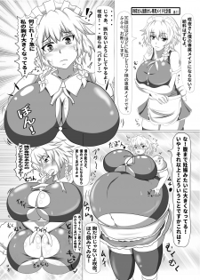 [Nanashi Inflation (binf)] Sakuya-san ga Ojousama no Tame ni Boufuku o Ukeireru Hon ~Haretsu Hen~ (Touhou Project) [Digital] - page 26