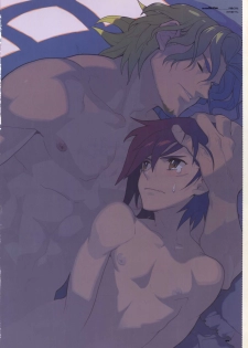 (C78) [Article 60 of Criminal Code (Shuhan)] Dianthus. EA02 (Skies of Arcadia) - page 3