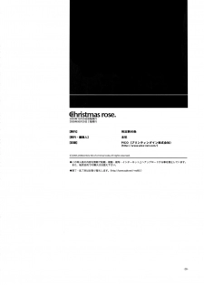 (C69) [Article 60 of Criminal Code (Shuhan)] Christmas Rose. (Skies of Arcadia) - page 25