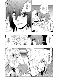 (C69) [Article 60 of Criminal Code (Shuhan)] Christmas Rose. (Skies of Arcadia) - page 23