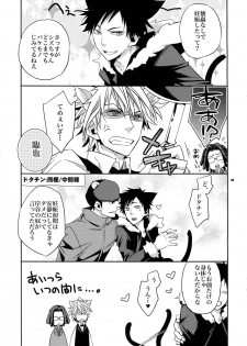 (C81) [Crazy9 (Ichitaka)] Ofuro de! Wanko TomShizu no Hon (Durarara!!) - page 4