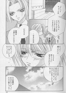 [Sakura Ashika] Himitsu No Kemonotachi - page 14