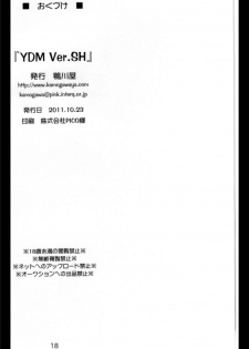 (Lyrical Magical 12) [Kamogawaya (Kamogawa Tanuki)] Y.D.M Ver.SH Limited Edition (Mahou Shoujo Lyrical Nanoha) [English] [DesuDesu] - page 18