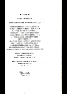 (Lyrical Magical 12) [Kamogawaya (Kamogawa Tanuki)] Y.D.M Ver.SH Limited Edition (Mahou Shoujo Lyrical Nanoha) [English] [DesuDesu] - page 17