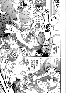 (C89) [OMOIDEHIROBA (Kurose Kousuke)] My Princess My Darling! (Go! Princess PreCure)[Chinese] [大友同好会] - page 24