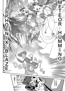 (C89) [OMOIDEHIROBA (Kurose Kousuke)] My Princess My Darling! (Go! Princess PreCure)[Chinese] [大友同好会] - page 43