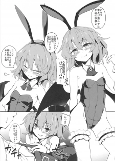 (C93) [Hokkepen (Seiichi)] Bunny Remi Scramble (Touhou Project) - page 4