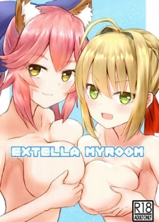 (COMIC1☆13) [Road Side Roman (Sirazawa)] EXTELLA MYROOM (Fate/EXTELLA)