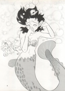 [Ryuukisha (Various)] LUNATIC ASYLUM DYNAMIC SUMMER (Bishoujo Senshi Sailor Moon) - page 3