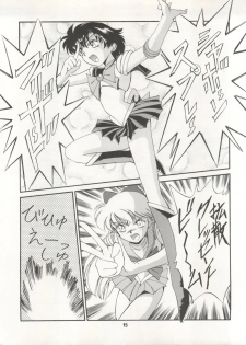 [Ryuukisha (Various)] LUNATIC ASYLUM DYNAMIC SUMMER (Bishoujo Senshi Sailor Moon) - page 15