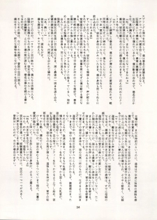 [Ryuukisha (Various)] LUNATIC ASYLUM DYNAMIC SUMMER (Bishoujo Senshi Sailor Moon) - page 34