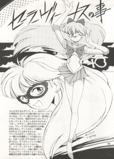 [Ryuukisha (Various)] LUNATIC ASYLUM DYNAMIC SUMMER (Bishoujo Senshi Sailor Moon) - page 25