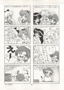 [Ryuukisha (Various)] LUNATIC ASYLUM DYNAMIC SUMMER (Bishoujo Senshi Sailor Moon) - page 30