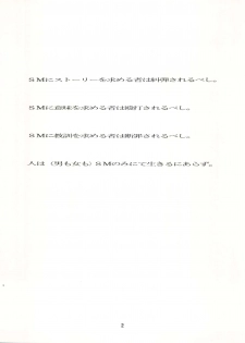 [Ryuukisha (Various)] LUNATIC ASYLUM DYNAMIC SUMMER (Bishoujo Senshi Sailor Moon) - page 2