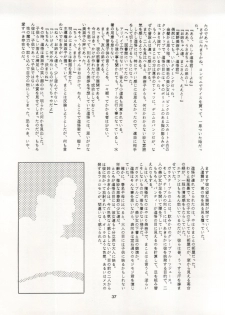 [Ryuukisha (Various)] LUNATIC ASYLUM DYNAMIC SUMMER (Bishoujo Senshi Sailor Moon) - page 37