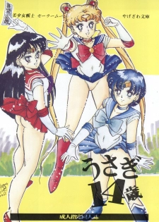 [Yagezawa Bunko (Yagezawa Tetsuyuki)] Usagi 14-sai (Bishoujo Senshi Sailor Moon) [1993-01-24] - page 3