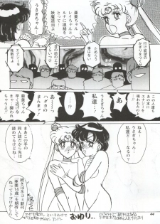 [Yagezawa Bunko (Yagezawa Tetsuyuki)] Usagi 14-sai (Bishoujo Senshi Sailor Moon) [1993-01-24] - page 44