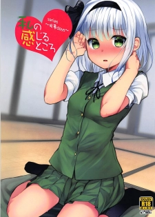 (Reitaisai 15) [Youyoumu (Nigo)] Youmu Days ~Watashi no Kanjiru Tokoro~ (Touhou Project) - page 1