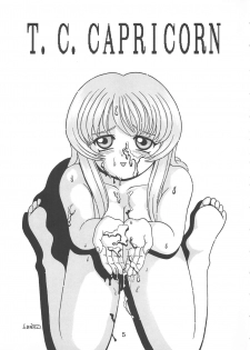 (CR22) [Tokimigumi (Various)] T.C.CAPRICORN (To Heart, Kero Kero Chime, Slayers) - page 3