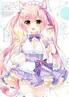 [Ame nochi Yuki (Ameto Yuki)] Maid Blanc wa Ikaga desu ka? [Digital] - page 13