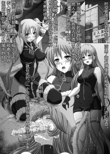 [Daraku Jiko Chousa Iinkai (Sch-mit)] Daraku Shitsumukan (Mahou Shoujo Lyrical Nanoha) [Chinese] [村长个人汉化] [Digital] - page 10