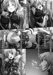 [Daraku Jiko Chousa Iinkai (Sch-mit)] Daraku Shitsumukan (Mahou Shoujo Lyrical Nanoha) [Chinese] [村长个人汉化] [Digital] - page 11