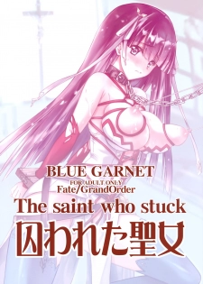 (C93) [Blue Garnet (Serizawa Katsumi)] Toraware Seijou (Fate/Grand Order) - page 30
