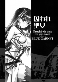 (C93) [Blue Garnet (Serizawa Katsumi)] Toraware Seijou (Fate/Grand Order) - page 4