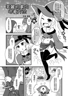 [Dennou Chocolate (AwA, Harasaki)] Kodomo no Goumongu [Chinese] [沒有漢化] [Digital] - page 23