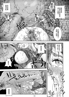 [Erotic Fantasy Larvaturs (Takaishi Fuu)] Marunomijo no Himekishi | 完全吞噬城堡之公主騎士 [Chinese] [Digital] - page 12