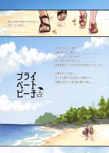 (COMITIA124) [ZOAL (LEN[A-7] )] Private beach nite - page 4