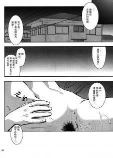 (C92) [Tenguren (Nario)] Boketsu o Horu 18 [Chinese] [瓜皮汉化] - page 33